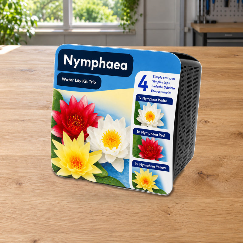 Mise en scène illustrative — 🌈 Kit Trio Nénuphar Prêt à Planter Aquifleur – 3 couleurs avec Paniers, Terreau & Gravier