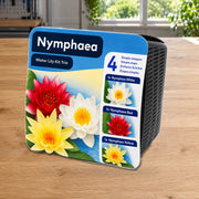 Mise en scène illustrative — 🌈 Kit Trio Nénuphar Prêt à Planter Aquifleur – 3 couleurs avec Paniers, Terreau & Gravier