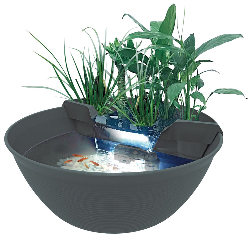 Mini Pond Grey - Superfish