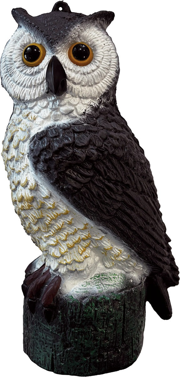 Deco Little Owl Bird - Superfish