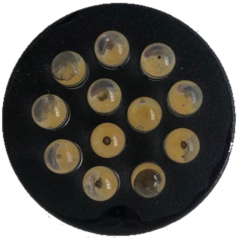 Heissner Insert LED pour éclairage U120-T / U130-T (dès 2019) - Pièce détachée - Heissner 4006873428312 ET10-U13T2