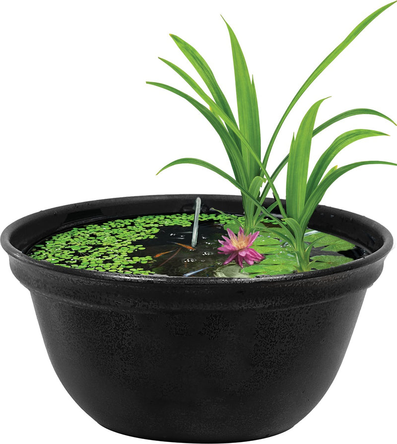 Colombo Medaka Bowl 420