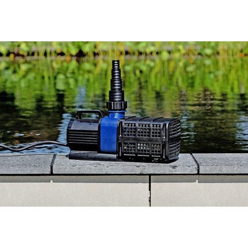 Aquaforte AquaForte DM Vario LV 20.000 - Pompe de bassin - 12V 8717605142128 RD759