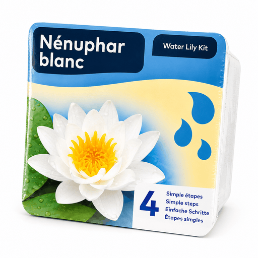 Aquifleur Plantes aquatiques 🤍 Kit Nénuphar Blanc Prêt à Planter Aquifleur – Nymphaea avec Panier, Terreau & Gravier 8718226855763 8718226855763
