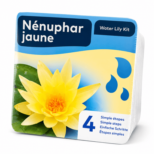 Aquifleur Plantes aquatiques 💛 Kit Nénuphar Jaune Prêt à Planter Aquifleur – Nymphaea avec Panier, Terreau & Gravier 8718226855695 8718226855695