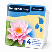 Aquifleur Plantes aquatiques 🌸 Kit Nénuphar Rose Prêt à Planter Aquifleur – Nymphaea avec Panier, Terreau & Gravier 8718226855695 8718226855749