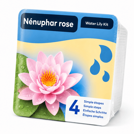 Aquifleur Plantes aquatiques 🌸 Kit Nénuphar Rose Prêt à Planter Aquifleur – Nymphaea avec Panier, Terreau & Gravier 8718226855695 8718226855749