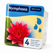 Aquifleur Plantes aquatiques ❤️ Kit Nénuphar Rouge Prêt à Planter Aquifleur – Nymphaea avec Panier, Terreau & Gravier 8718226855756 8718226855756