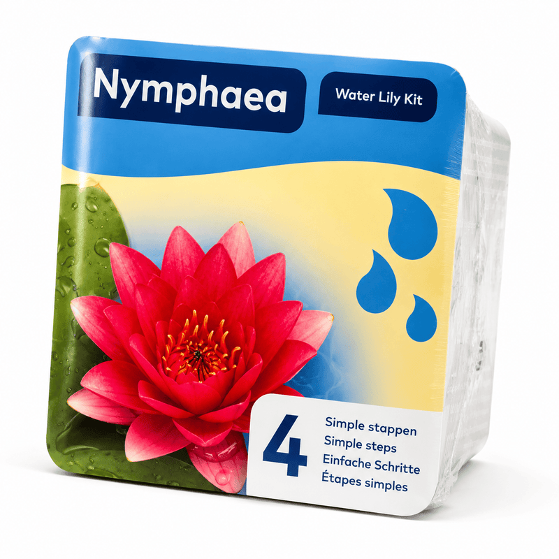 Aquifleur Plantes aquatiques ❤️ Kit Nénuphar Rouge Prêt à Planter Aquifleur – Nymphaea avec Panier, Terreau & Gravier 8718226855756 8718226855756