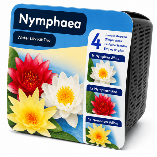 Aquifleur Plantes aquatiques 🌈 Kit Trio Nénuphar Prêt à Planter Aquifleur – 3 couleurs avec Paniers, Terreau & Gravier 8719743711815 20977