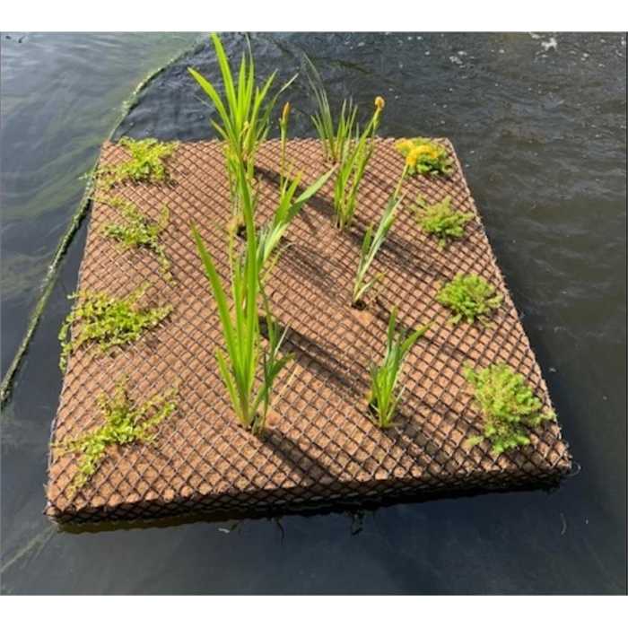 Aquifleur Plantes TAPIS FLOTTANT 1 x 1M - 25 PLANTES _ PERMET 25 POT DE 9CM