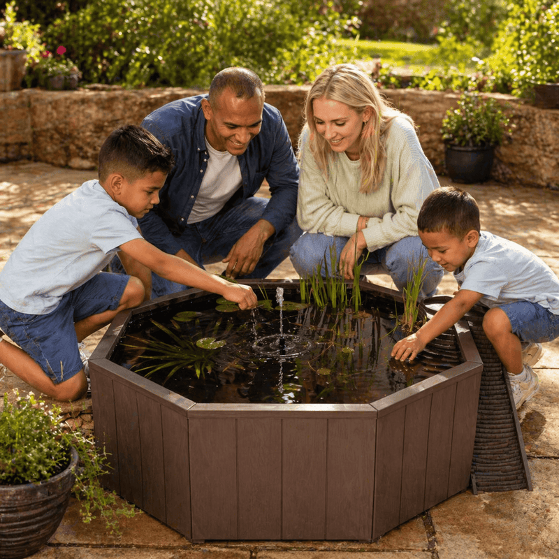 Aquigarden Bassins préformés Bassin hors sol de 190L - Kit complet avec jet d'eau solaire & bac de plante + échelle à grenouille - Aquigarden 5015368111416 5015368111416