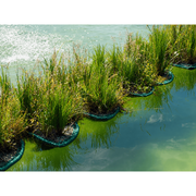 Aquigarden ilot flottant Île Flottante pour Étang Type 81 - Support de Plantation Aquatique 8717605078915 SG382