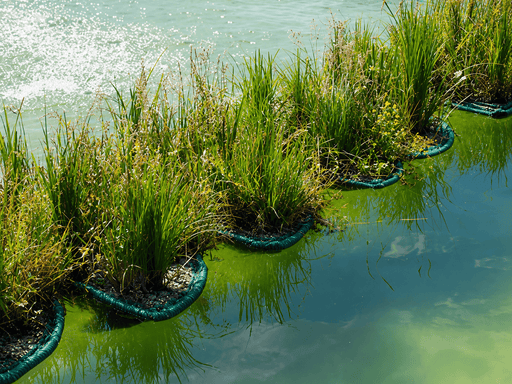 Aquigarden ilot flottant Île Flottante pour Étang Type 81 - Support de Plantation Aquatique 8717605078915 SG382