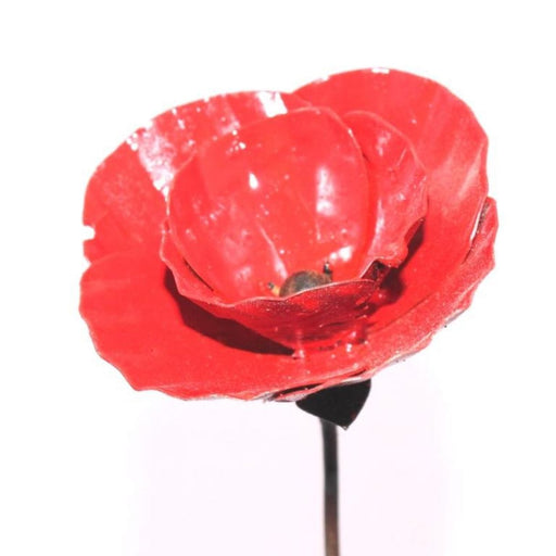 Aquigarden Tuteur Coquelicot Peint - 1M - Fleur en métal décoratif à planter GSPOP GSPOP