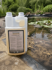 Aquipond Aquipond Bactovase Liquide - 1L - Agit sur les algues et la vase BACTOVAS01L