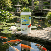 Aquipond Duretés Aquipond GH+ 1kg - Augmente la dureté totale 5425030687567 NEOAQF101E