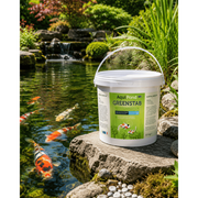 Aquipond Aquipond Greenstab - Traitement naturel contre les algues du bassin (même en hiver)