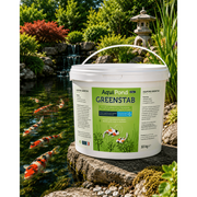 Aquipond Aquipond Greenstab - Traitement naturel contre les algues du bassin (même en hiver)