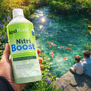 Aquipond Aquipond Nitriboost - Recolonise votre filtre en 24h