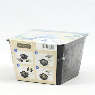 Iris blanc - En kit tout-en-un - Pot de 18CM