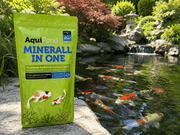 Aquipond Duretés Minerall in One Aquipond - Augmente GH & KH simultanément - 2.5KG pour traiter 30M³ 8721055520214 40150-2.5BS