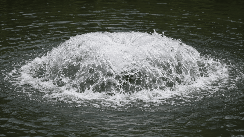 Aquitechnics Emulseurs Aérateur de surface haute performance pour étang naturel - Aquitechnics - Émulseur pour étang