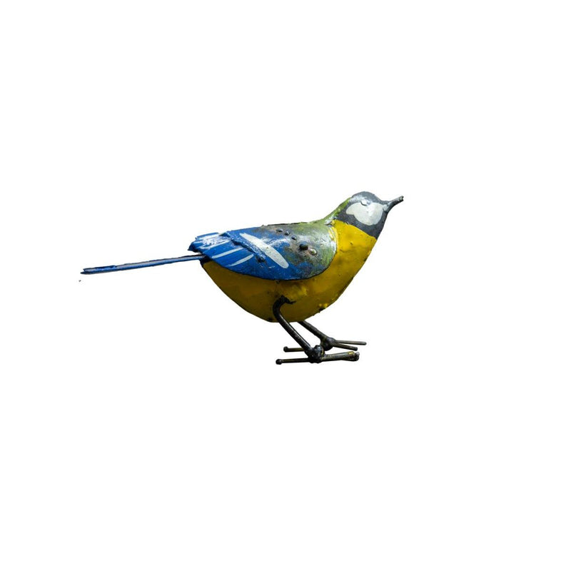 Mésange charbonnière "chante" — AP11008c