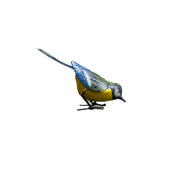Mésange charbonnière "picore" — AP11008p
