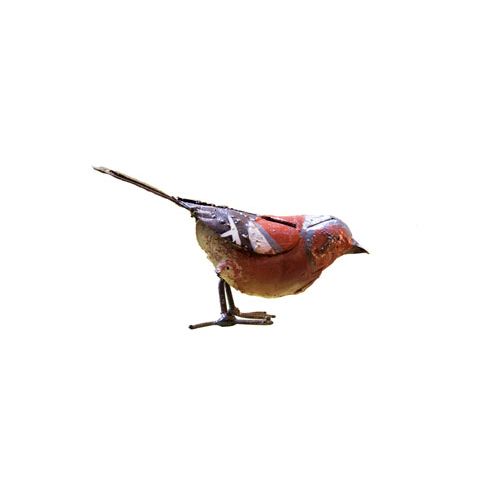 Pinson des arbres "picore" — AP11011p