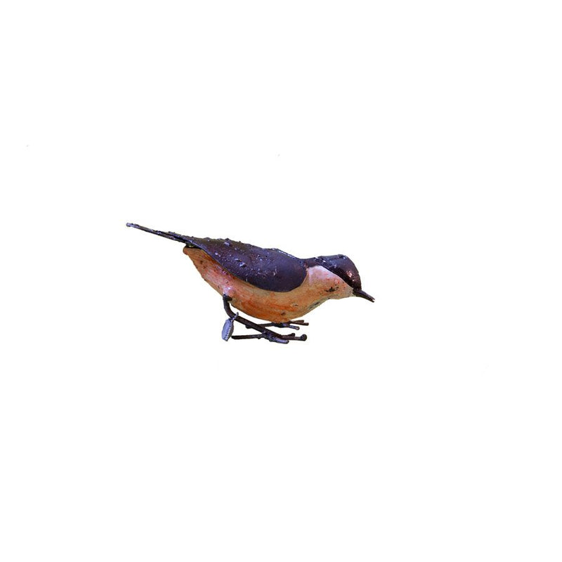 Sittelle Torchepot "picore" — AP11015p