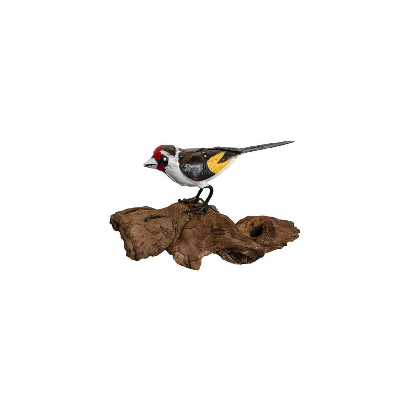 Chardonneret élégant sur bois flotté — AP11600