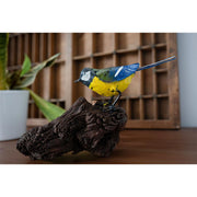 Mésange charbonnière sur bois flotté — AP11601