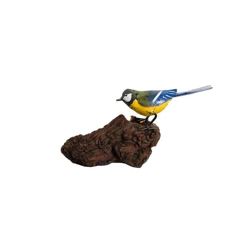 Mésange charbonnière sur bois flotté — AP11601