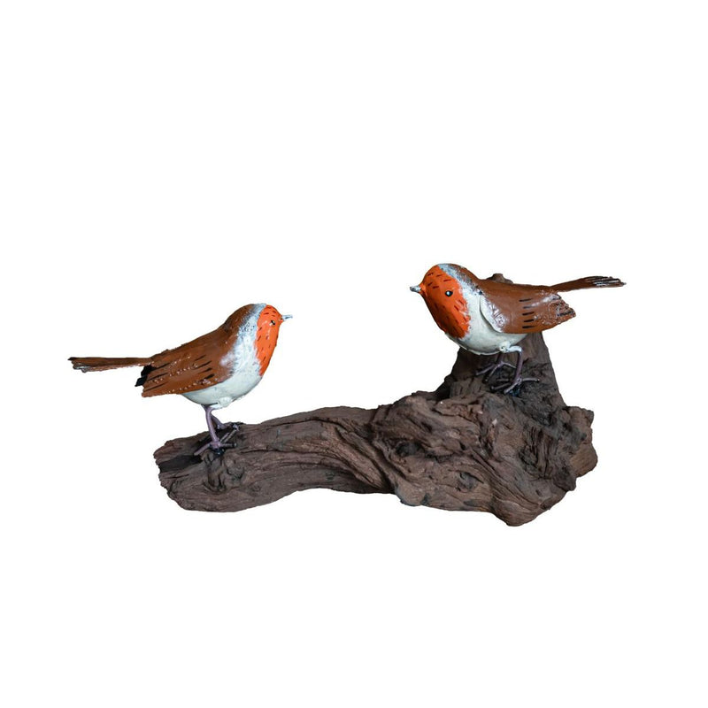 Couple de rouge-gorge sur bois flotté — AP11632