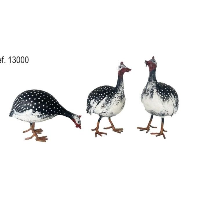 Pintadeaux de Numidie lot de 3 — AP13000