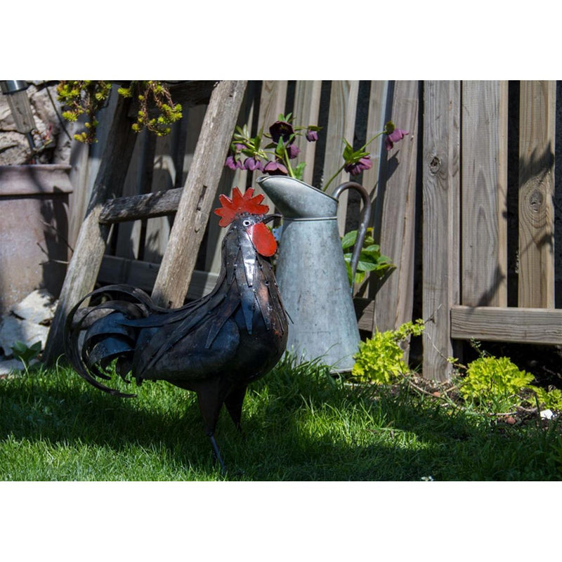 Coq rouille — AP13003