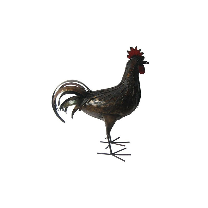 Coq rouille — AP13003