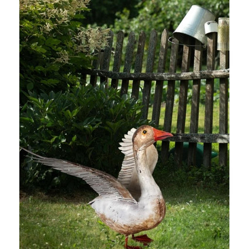 Oie d'Alsace Ailes Ouvertes — AP13009