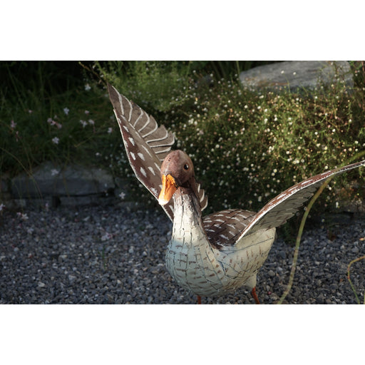 Oie de Toulouse ailes ouvertes — AP13016