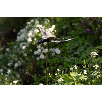 Tuteur Libellule Bleue — AP16000