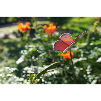 Tuteur papillon Orange cuivré des marais — AP16007