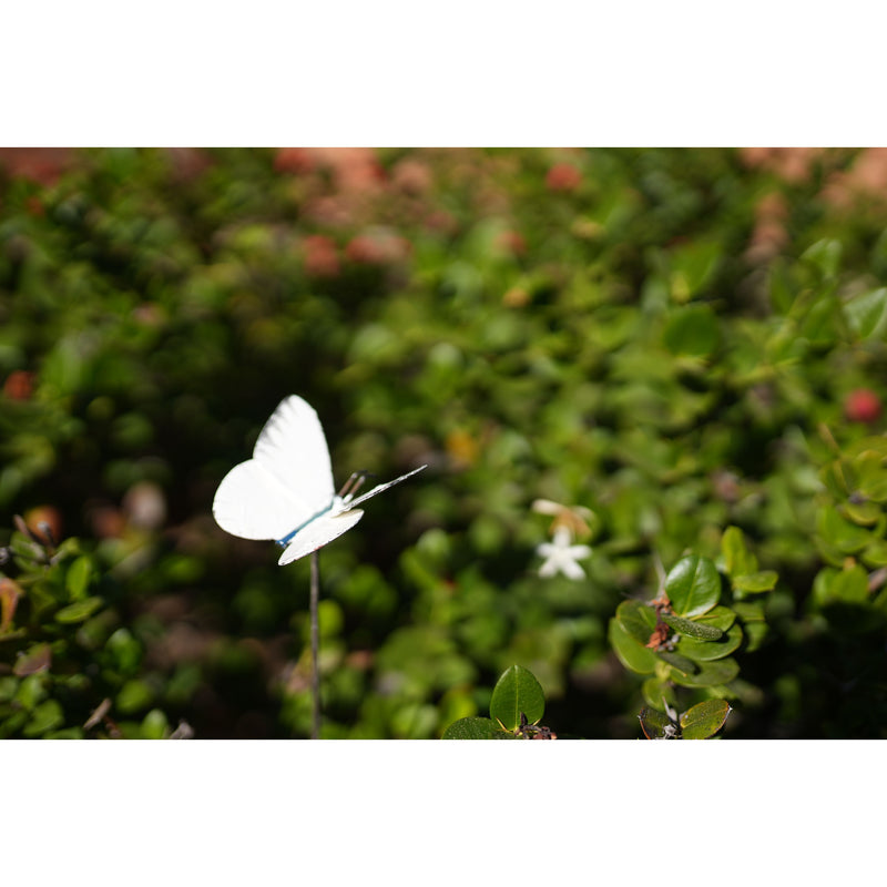 Tuteur Papillon Piéride du Chou (blanc) — AP16008