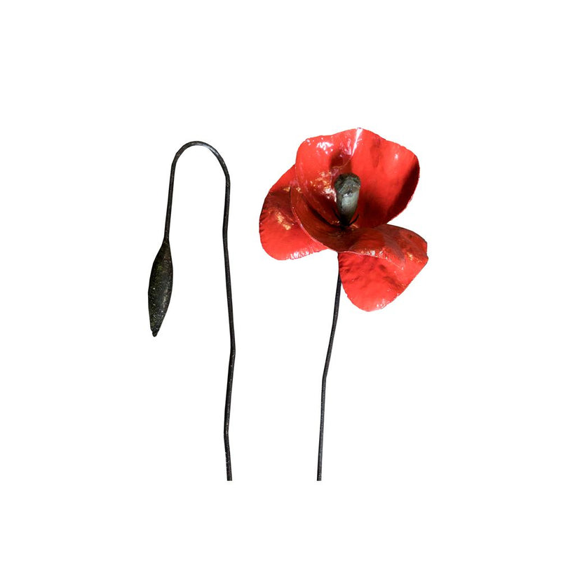 Coquelicot Rouge & bouton taille XL — AP180002