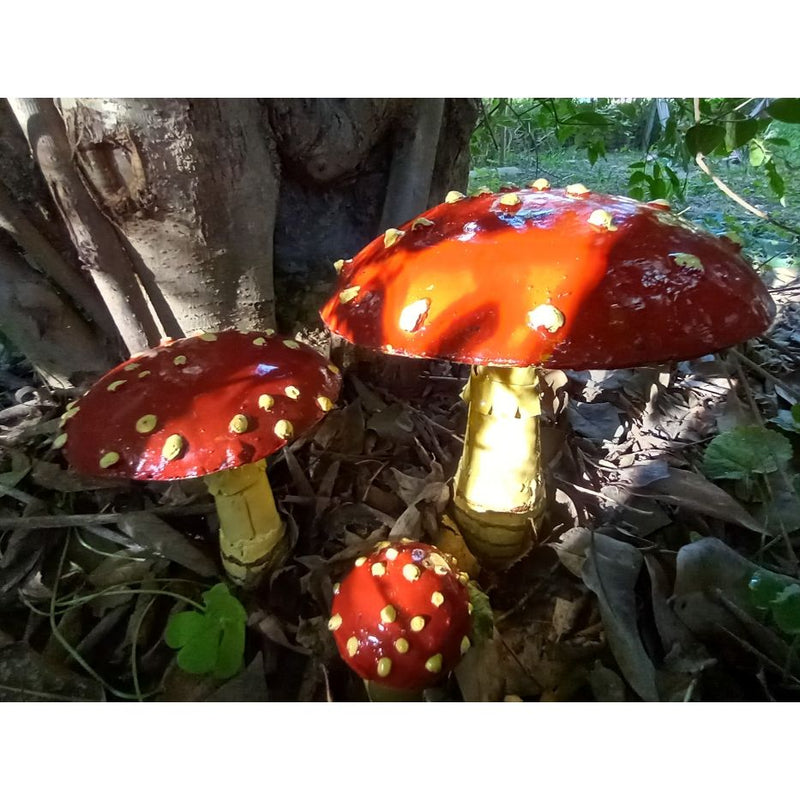 Champignons Amanites — AP18001
