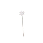Nigelle de Damas — AP18004(1)