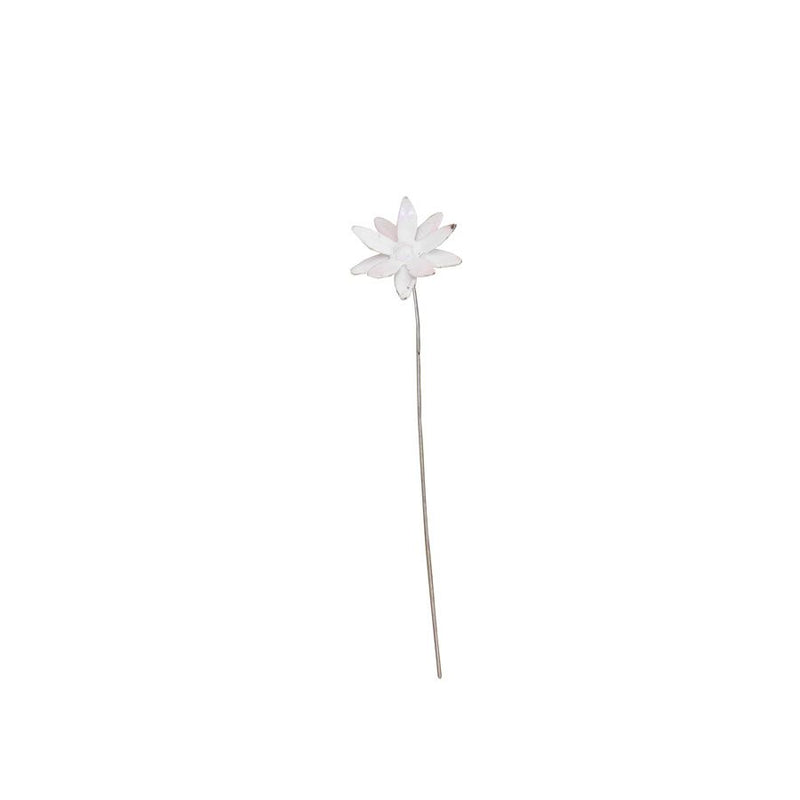 Nigelle de Damas — AP18004(1)