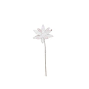 Nigelle de Damas — AP18004(1)