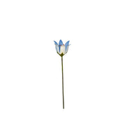 Campanule bleue (à l'unité) — AP18022(1)