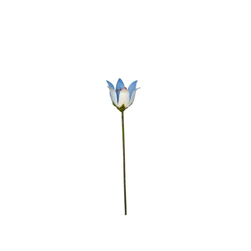 Campanule bleue (à l'unité) — AP18022(1)